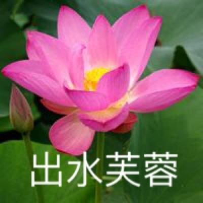 元气勇者破解版无限徽章版下载